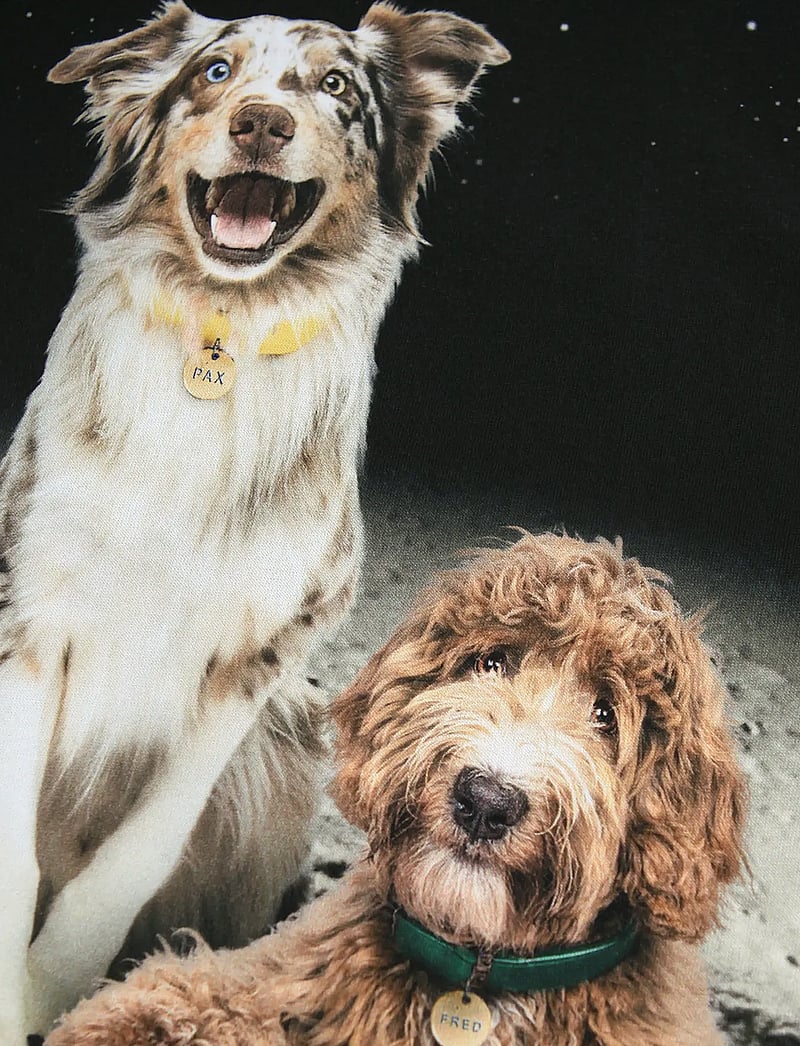 Molo - Reif - pikkade varrukatega - moon friends - 3