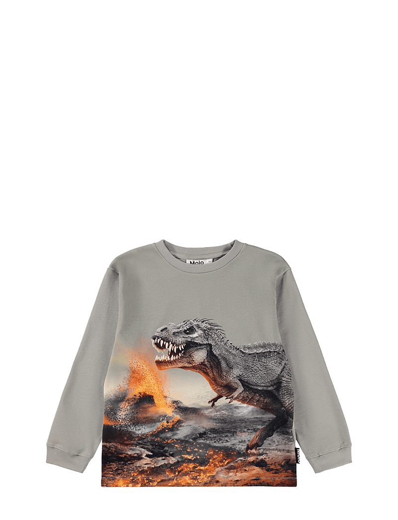 Molo - Rube - långärmade - dinosaur fog - 0