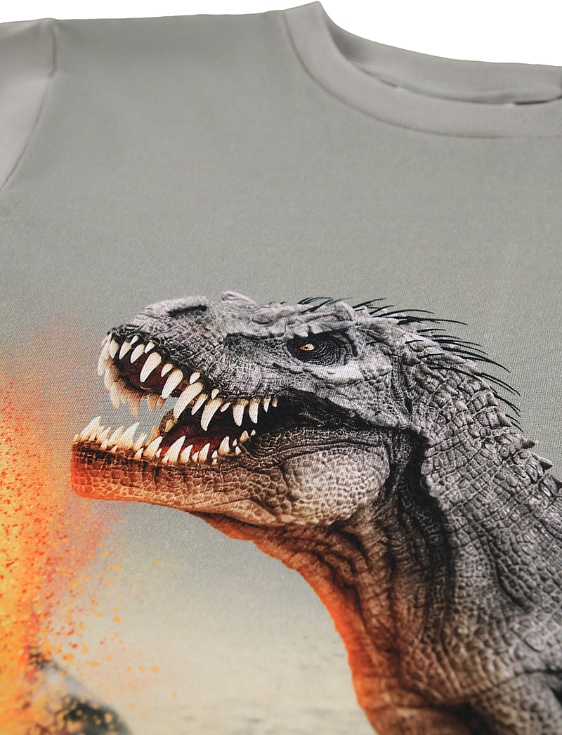 Molo - Rube - långärmade - dinosaur fog - 2