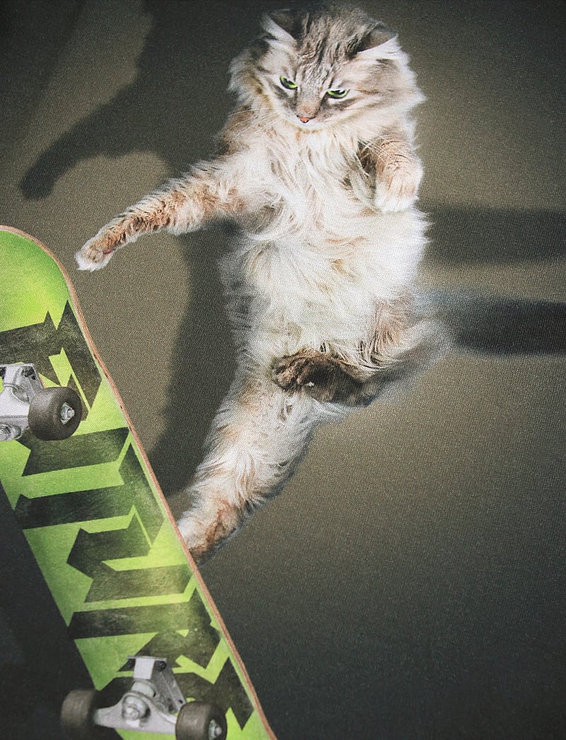 Molo - Rube - langærmede - skate cat - 2
