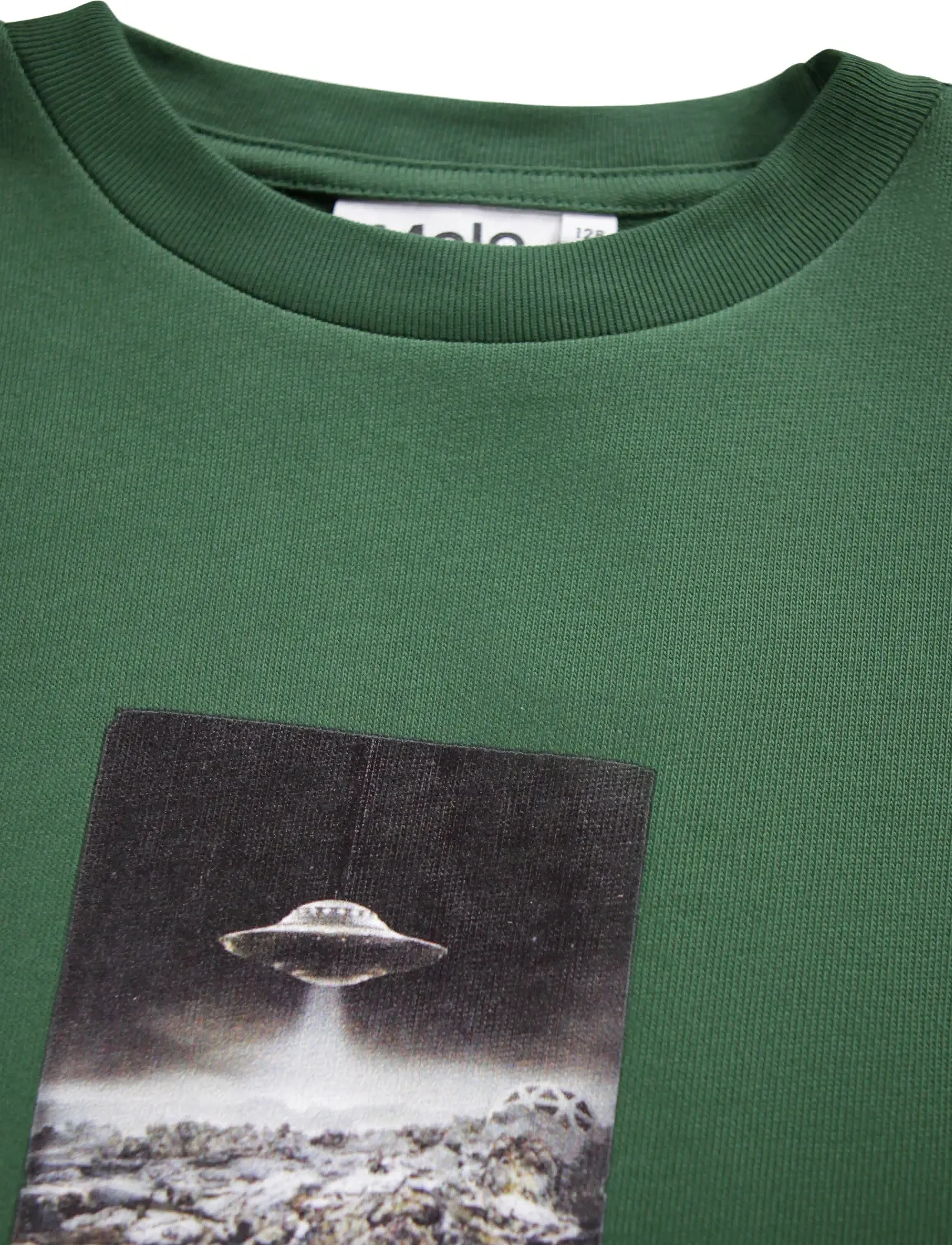 Molo - Rube - t-shirts - pine tree - 2