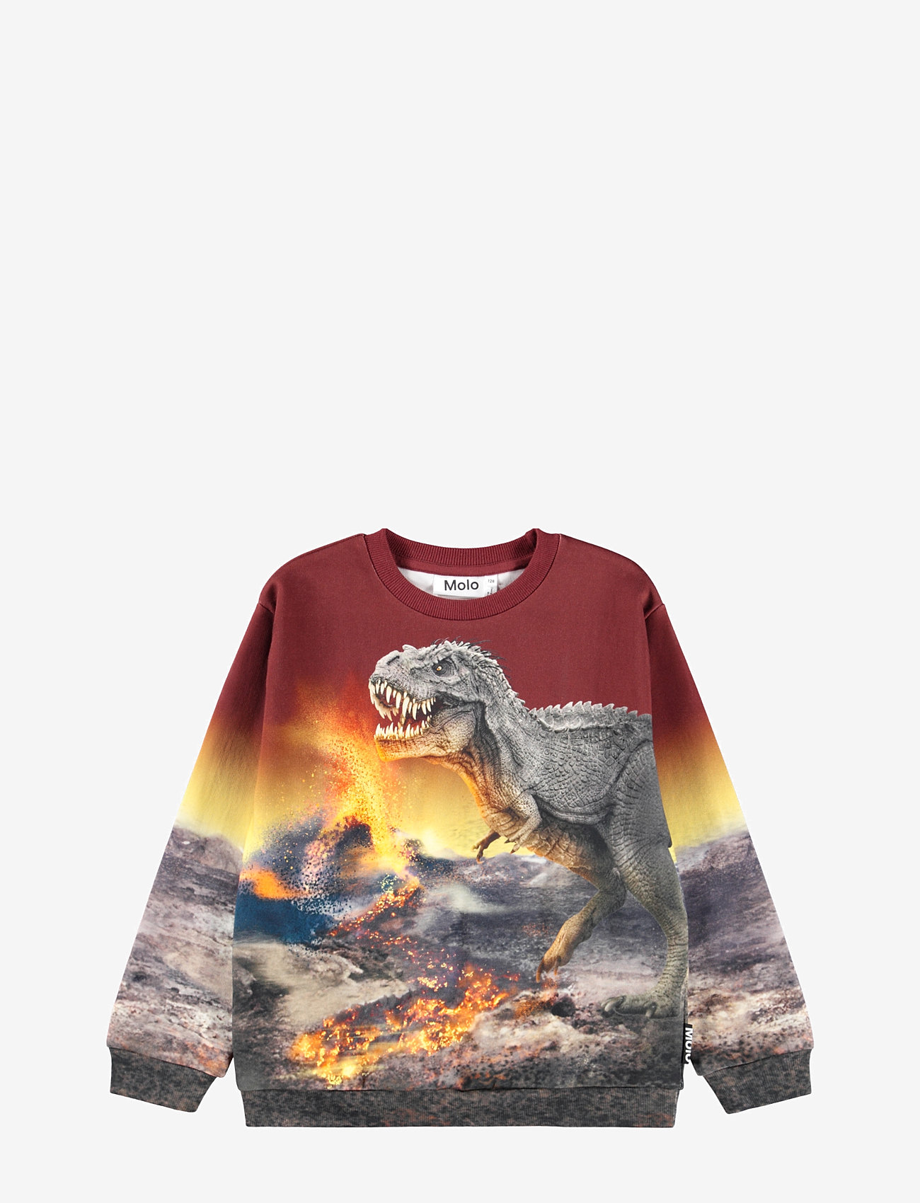 Molo - Miksi - bluzy - dino landscape - 1