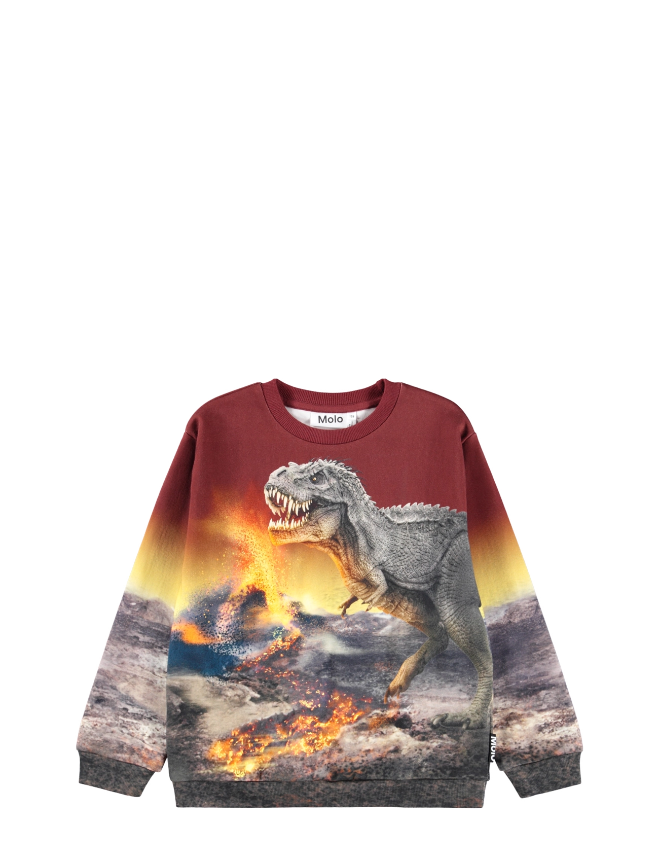 Molo Miksi - Sweatshirts & Huvtröjor - DINO LANDSCAPE / burgundy