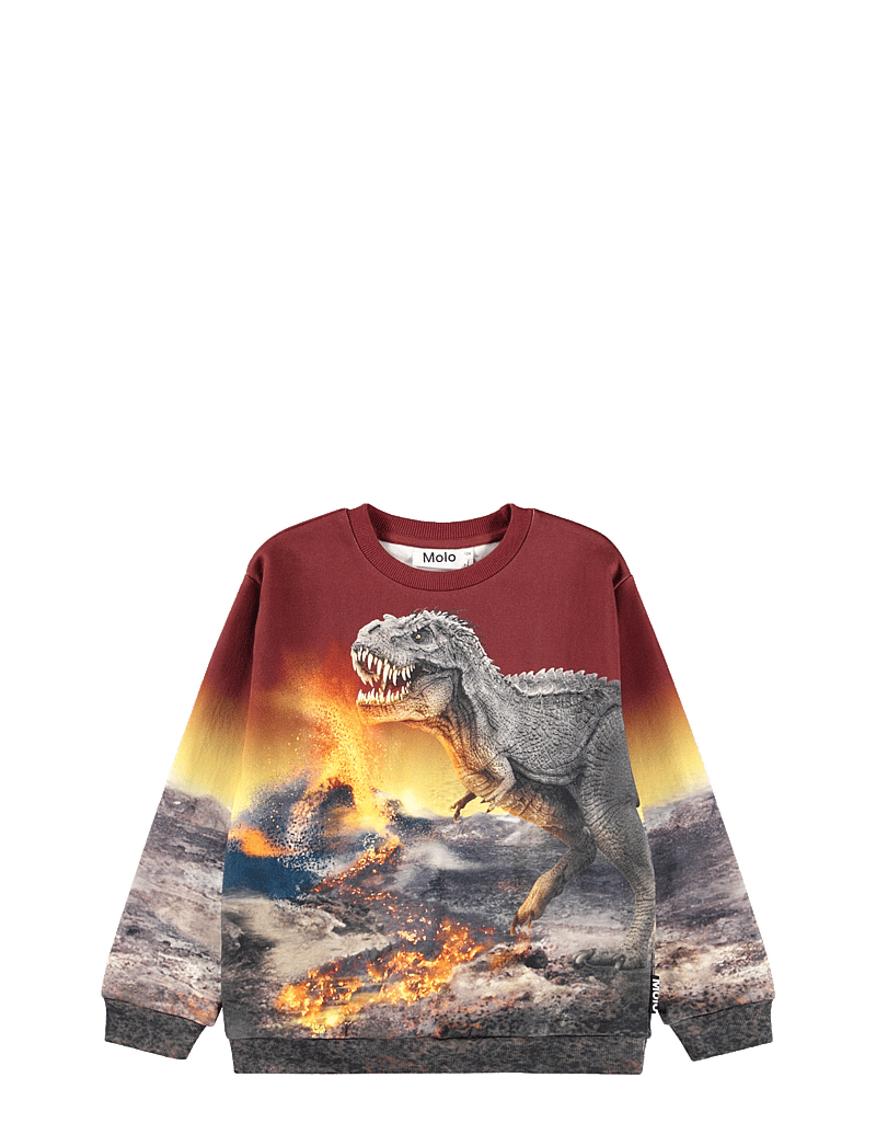 Molo - Miksi - sweatshirts - dino landscape - 1