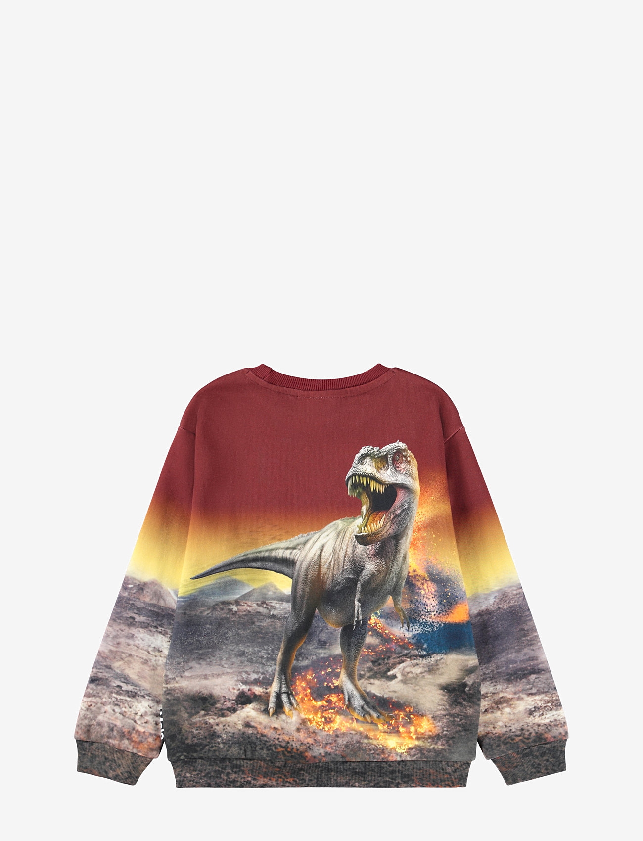 Molo - Miksi - bluzy - dino landscape - 2