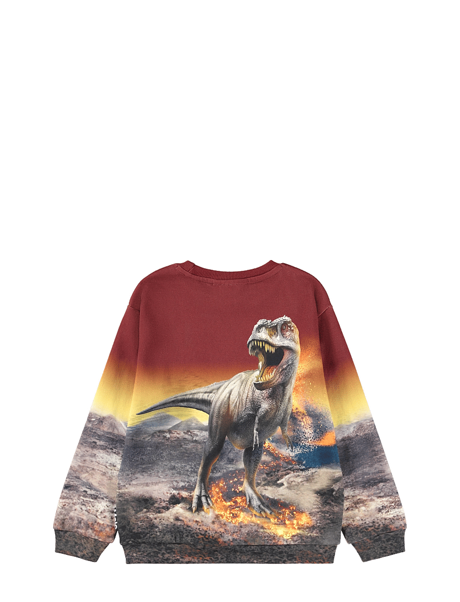 Molo - Miksi - sweatshirts - dino landscape - 2