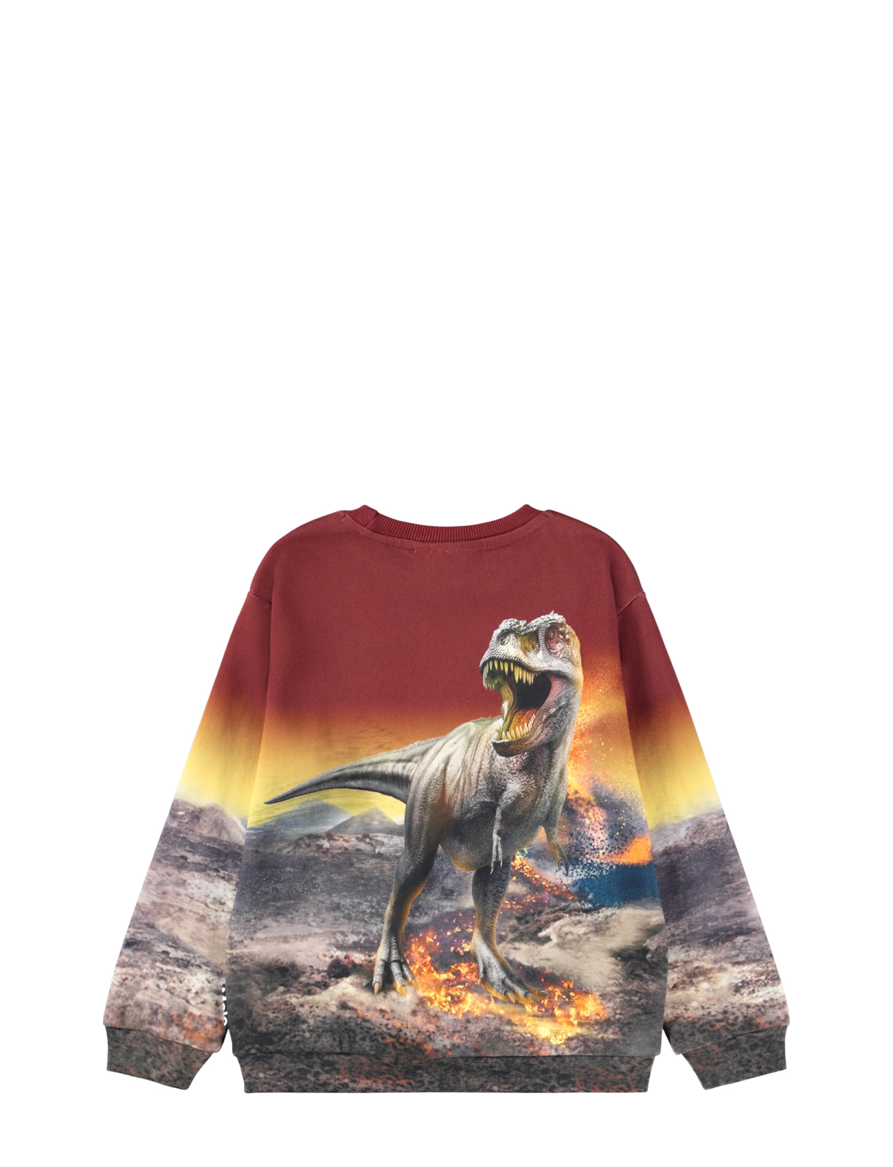 Molo - Miksi - sweatshirts & kapuzenpullover - dino landscape - 2