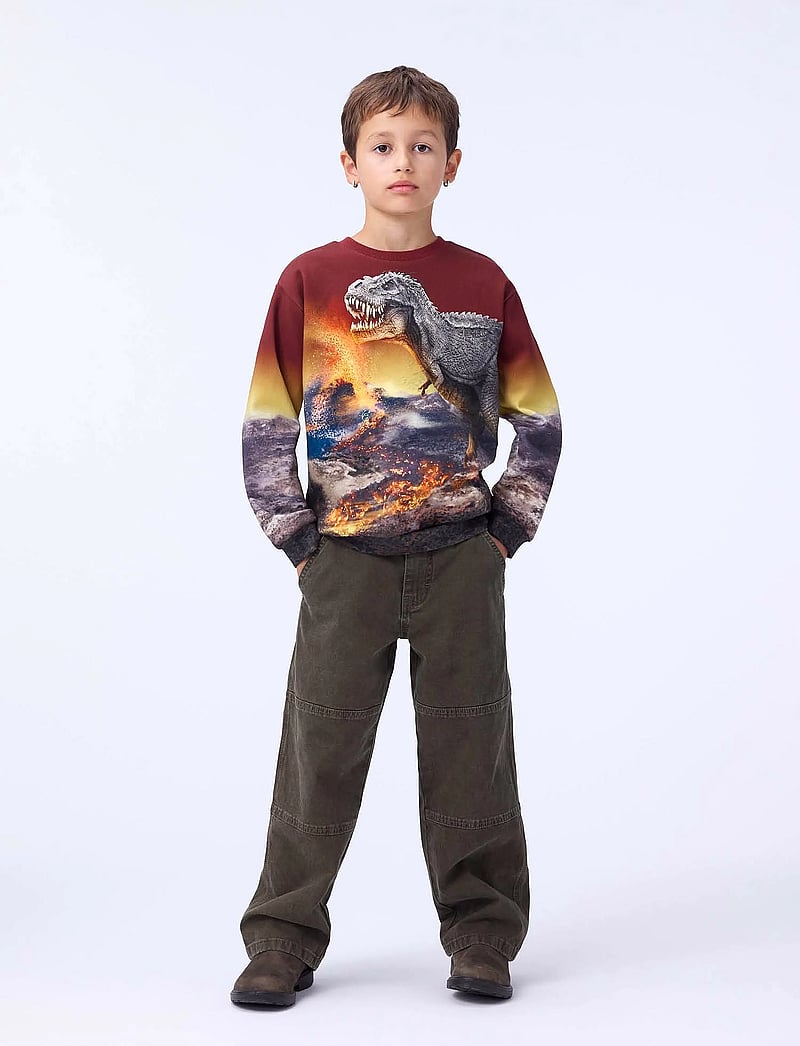 Molo - Miksi - bluzy - dino landscape - 0