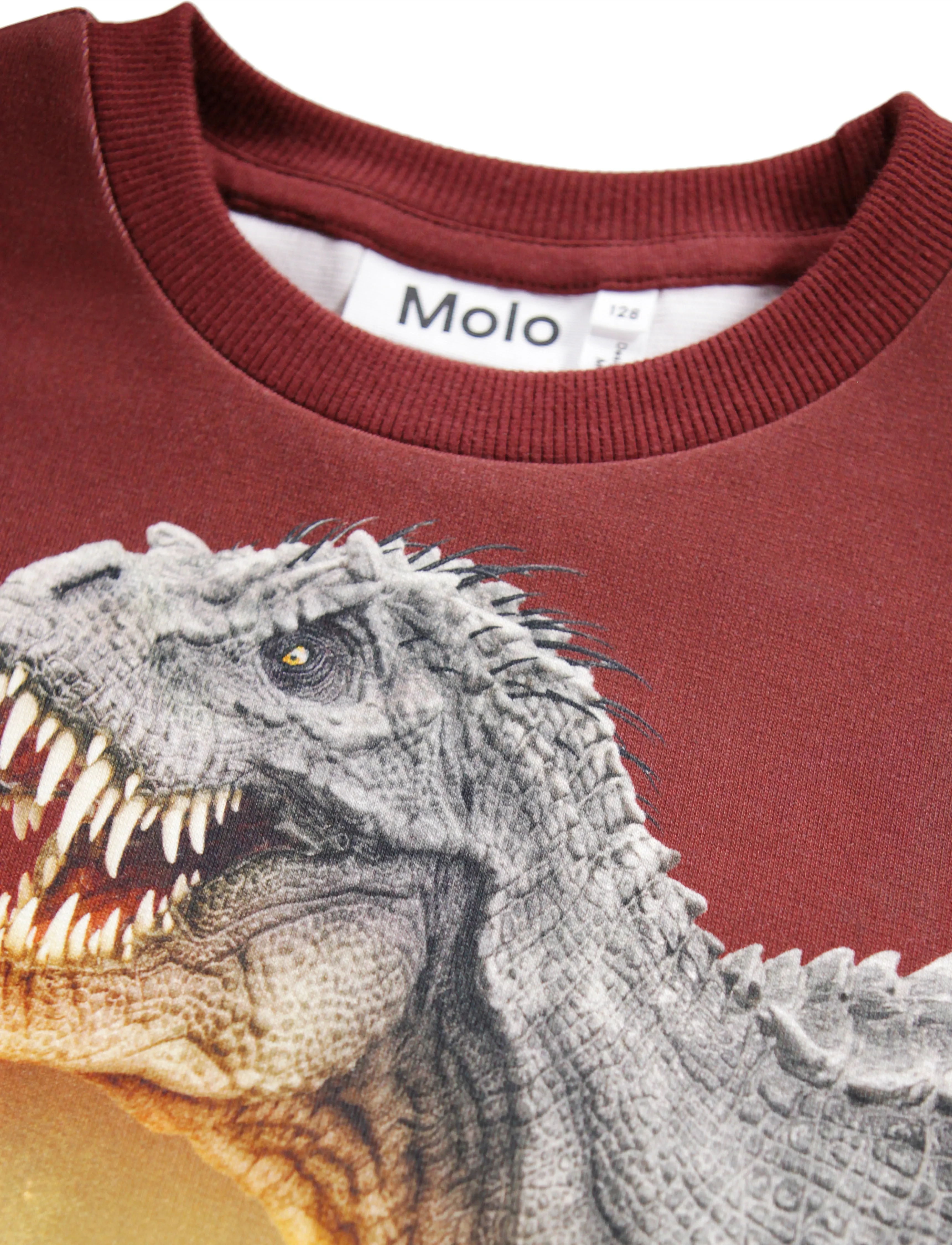 Molo - Miksi - sweatshirts & kapuzenpullover - dino landscape - 3