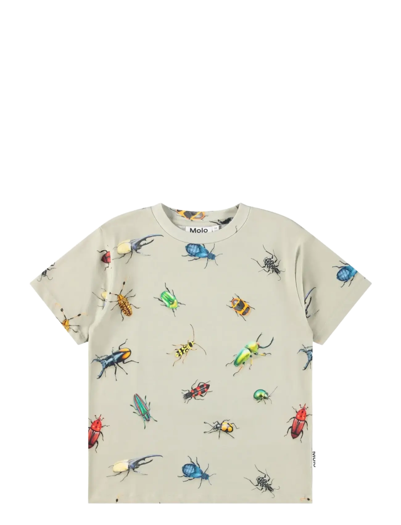 BEETLES