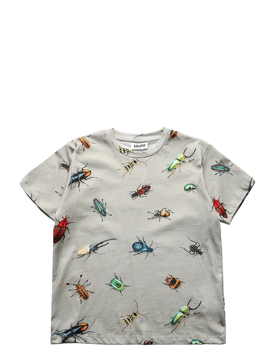 Molo - Riley - marškinėliai trumpomis rankovėmis - beetles - 0