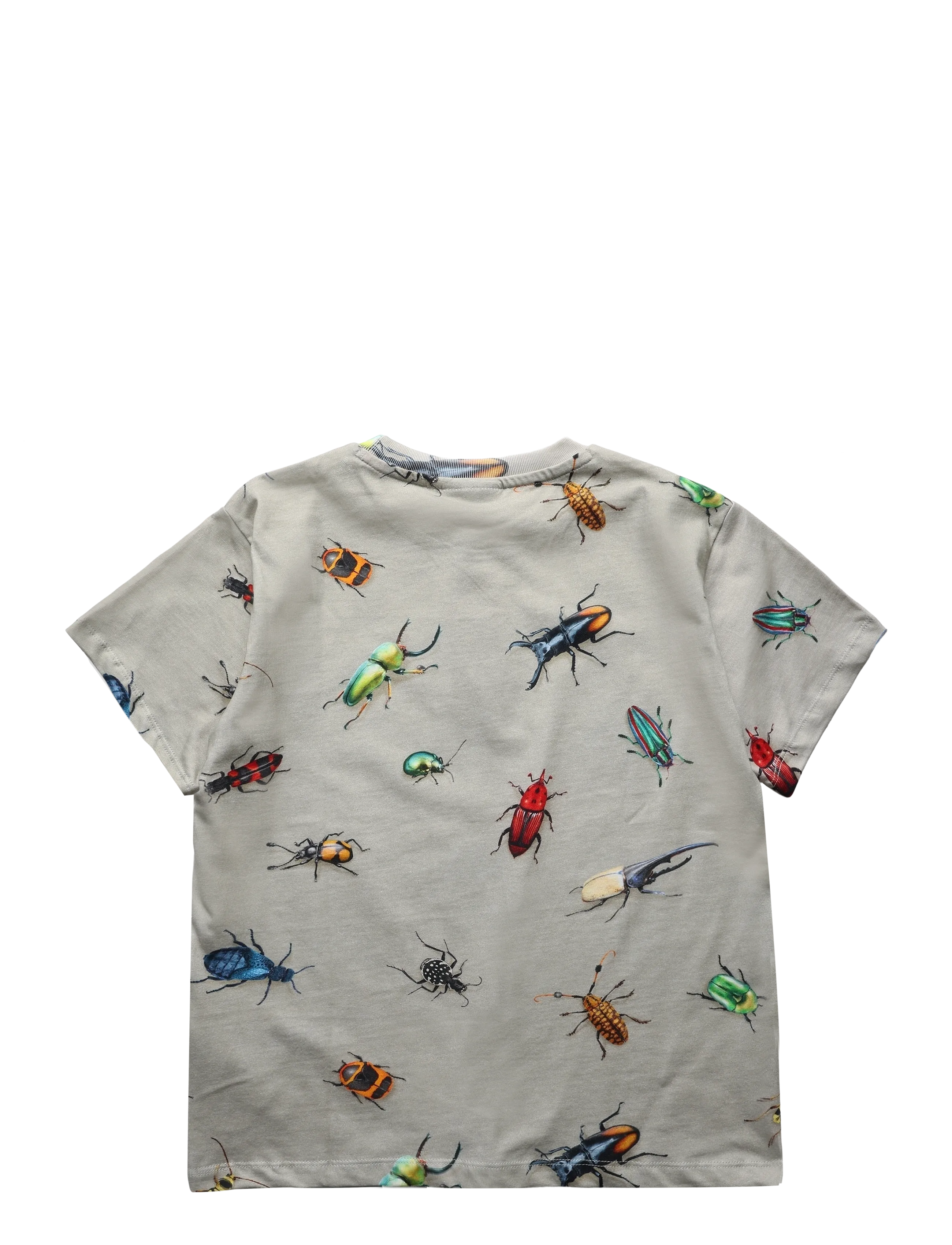 Molo - Riley - marškinėliai trumpomis rankovėmis - beetles - 1