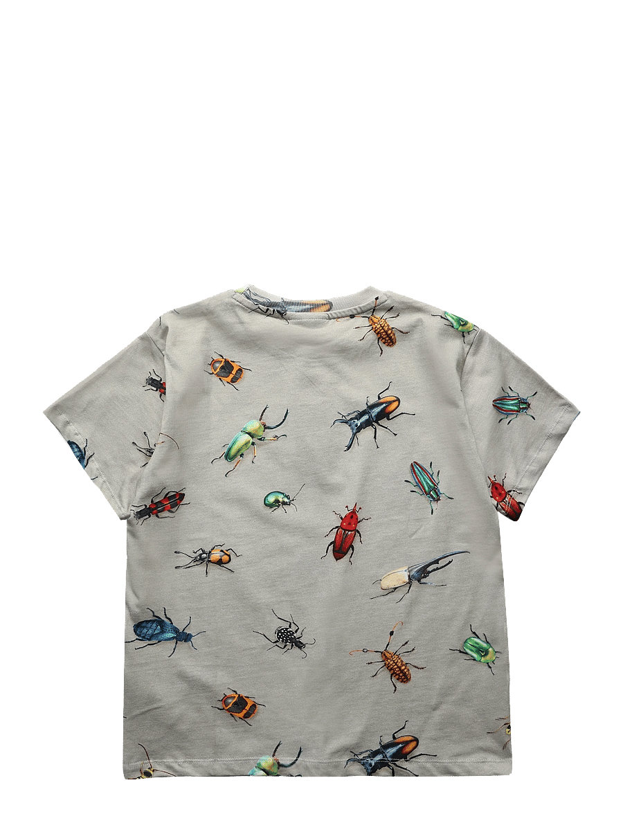 Molo - Riley - marškinėliai trumpomis rankovėmis - beetles - 1