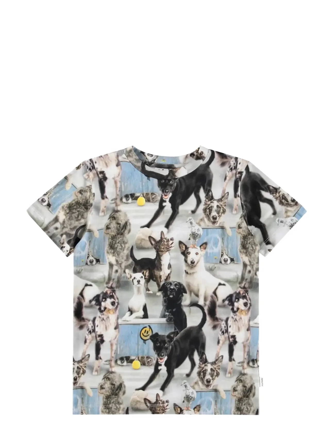 Molo Ralphie - Molo - CURIOUS DOGS / multi