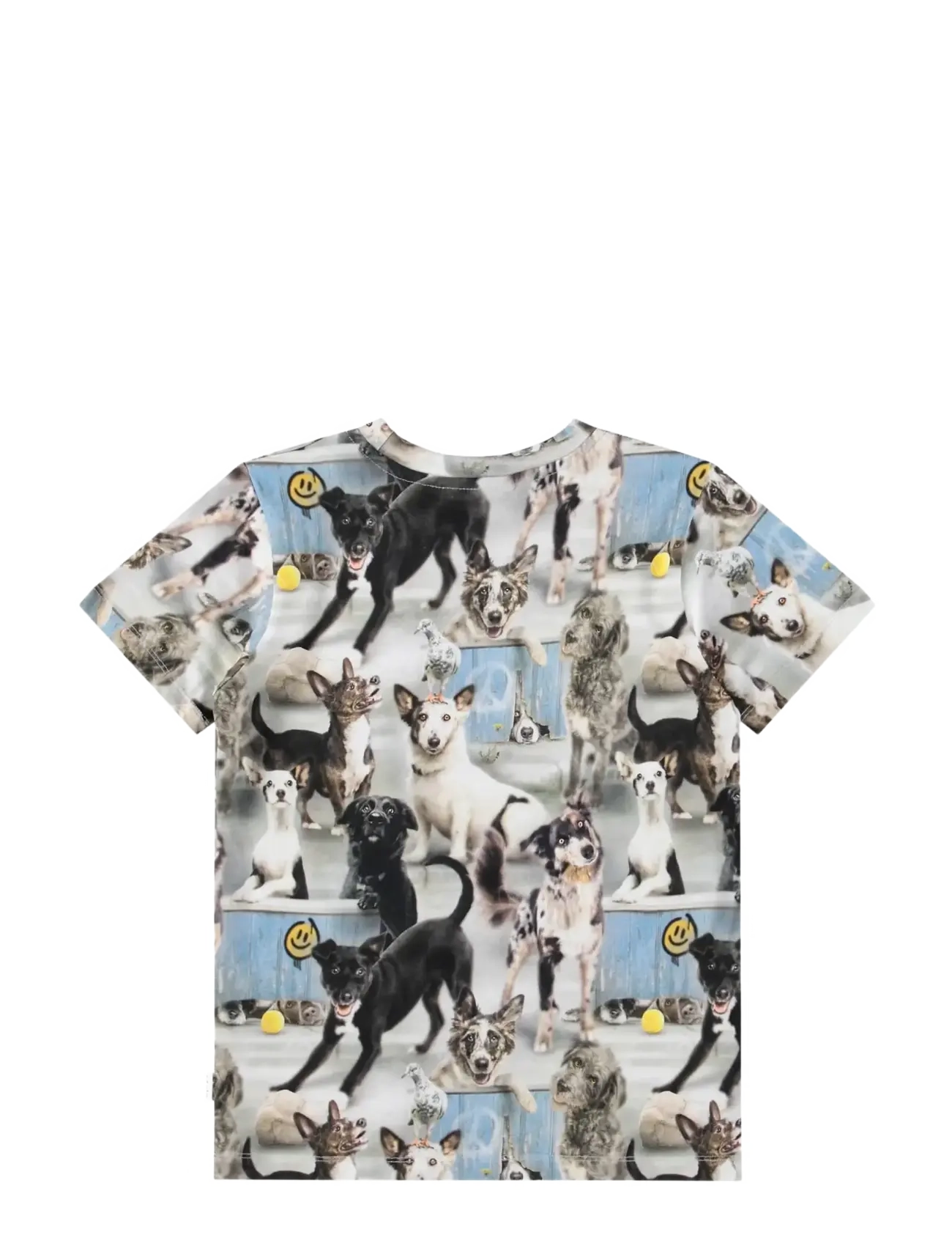 Molo - Ralphie - kortærmede t-shirts - curious dogs - 1