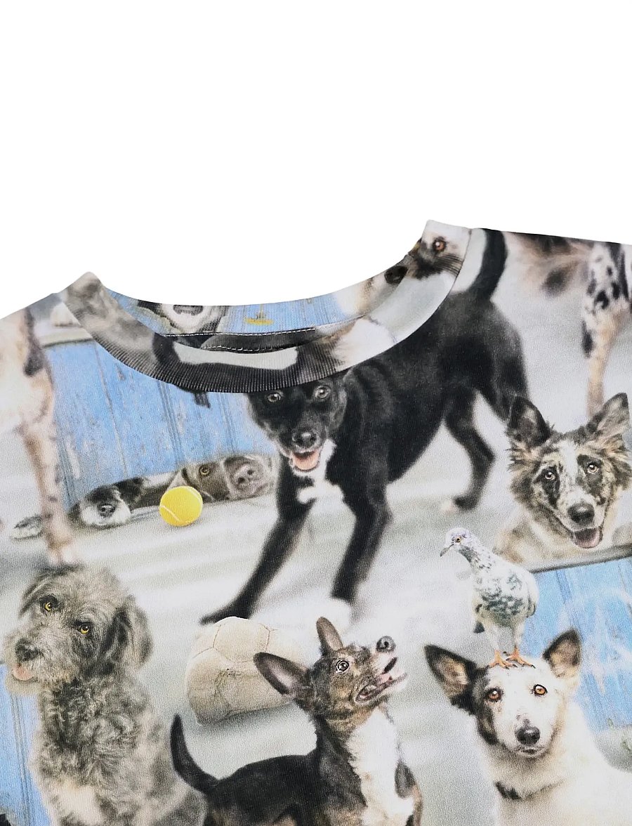 Molo - Ralphie - lühikeste varrukatega t-särgid - curious dogs - 2