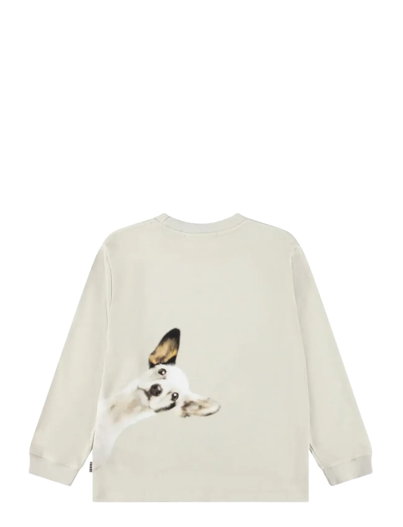 Molo - Rube - langærmede t-shirts - curiosity - 1