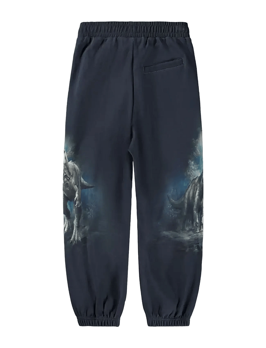 Molo - Aimon - sweatpants - twilight dinos - 1