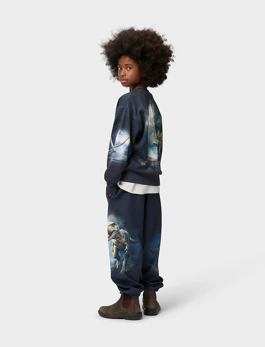 Molo - Aimon - sweatpants - twilight dinos - 3