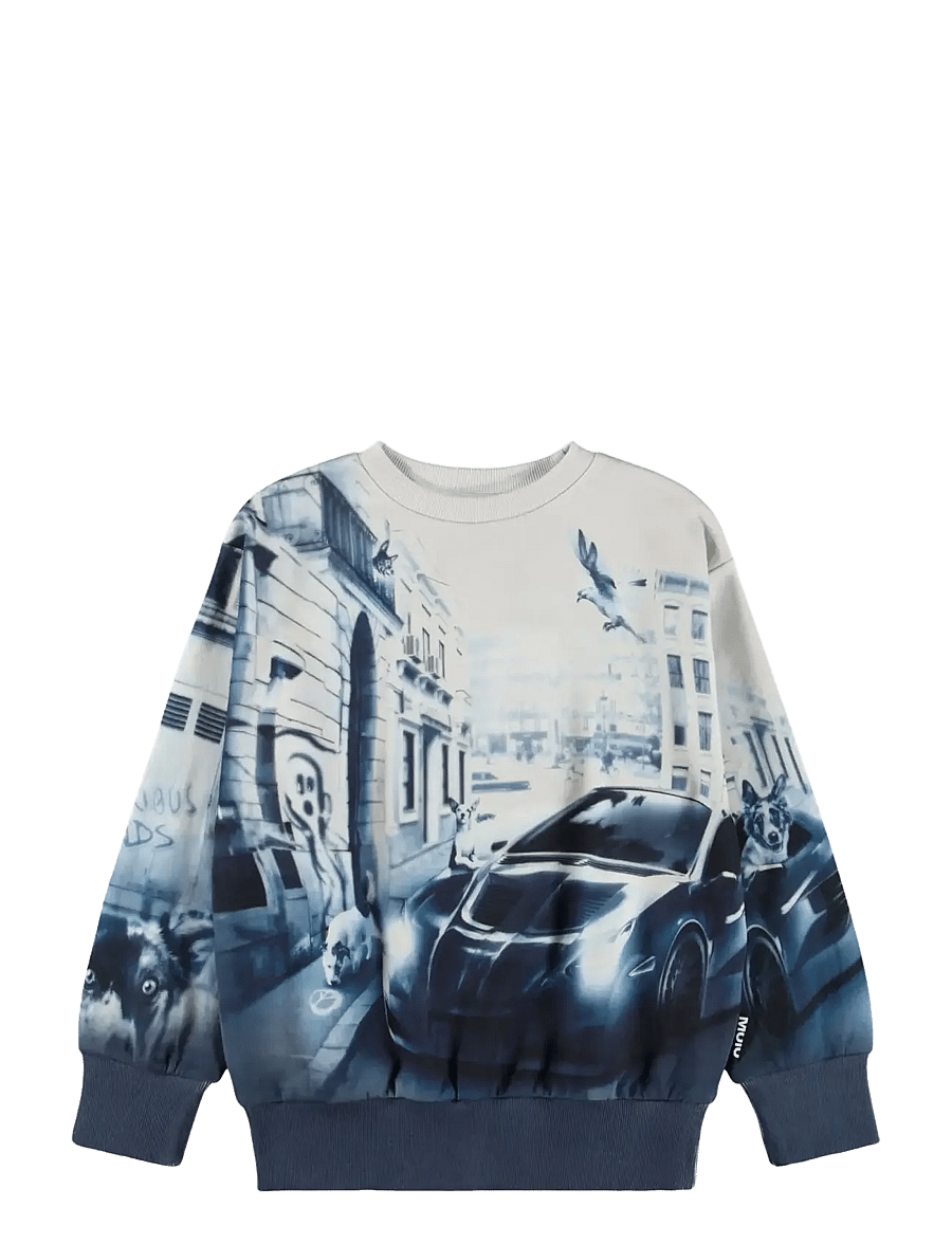 Molo - Mattis - sweatshirts - curiocity - 0