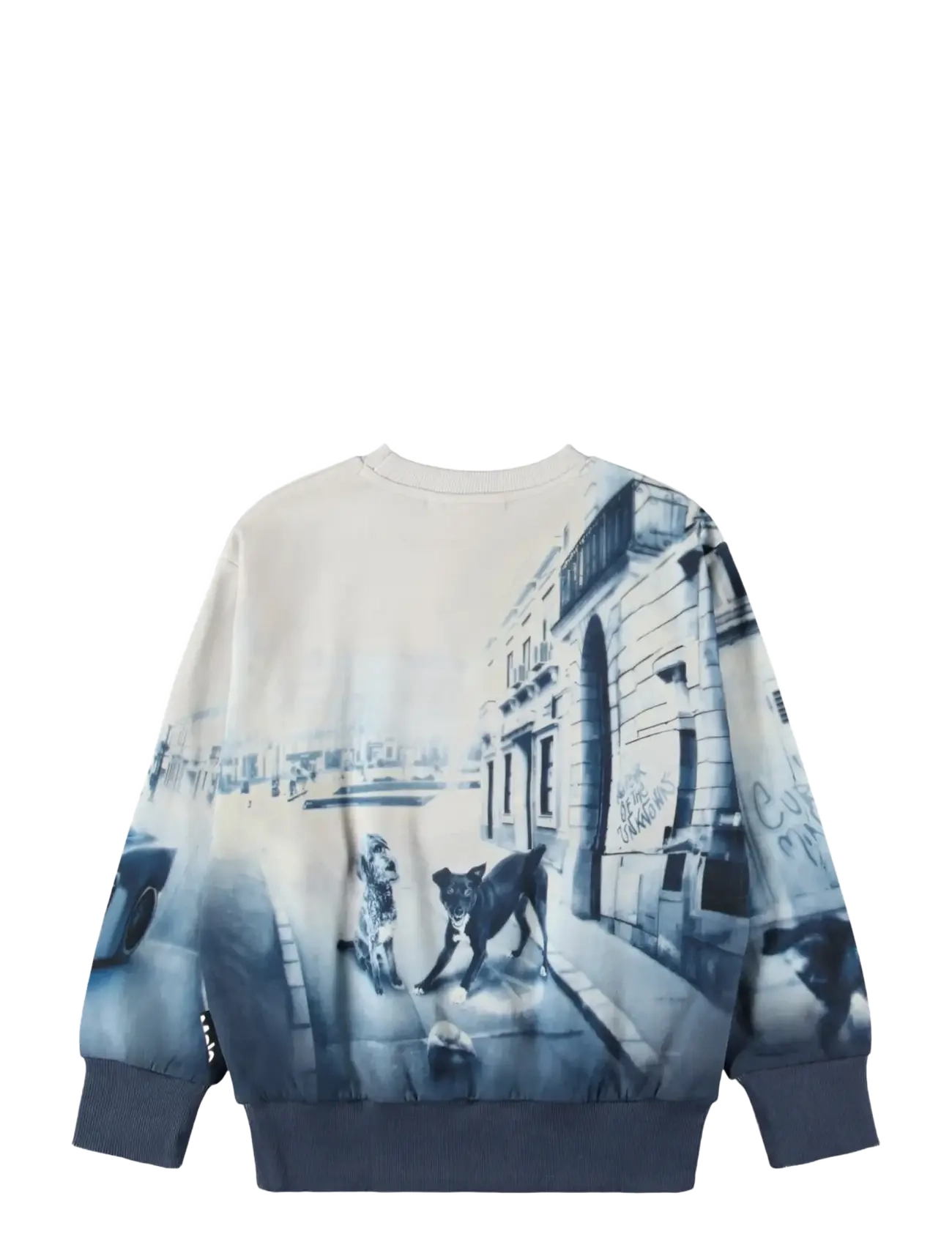 Molo - Mattis - sweatshirts - curiocity - 1