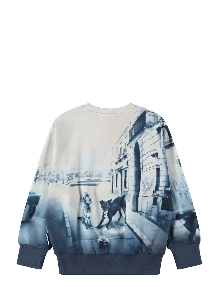 Molo - Mattis - sweatshirts - curiocity - 1