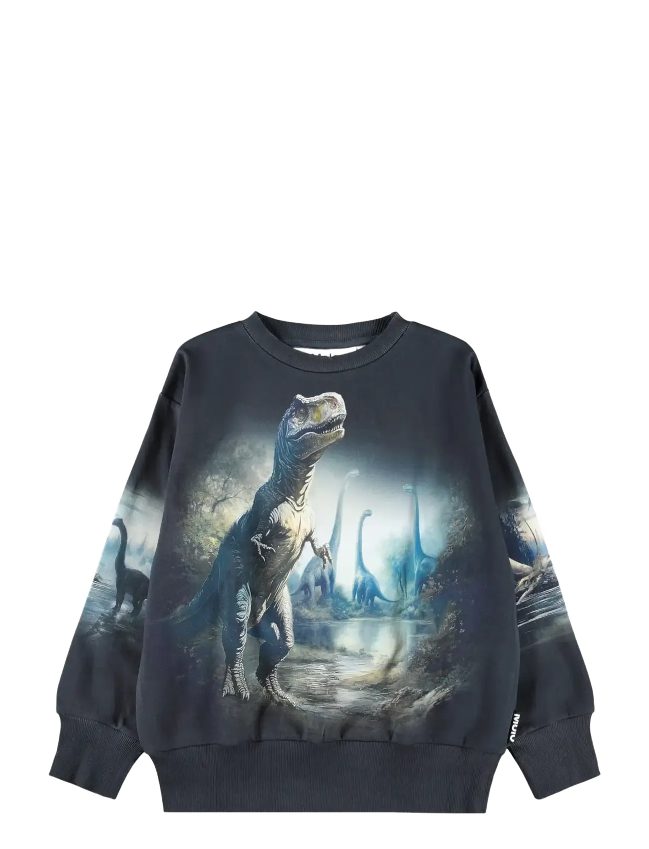 Molo Mattis - Kleidung - TWILIGHT DINOS / grey