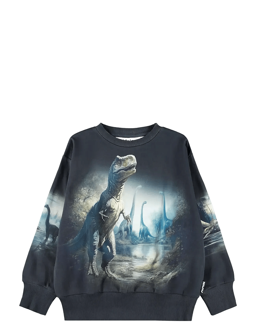 Molo - Mattis - sweatshirts - twilight dinos - 0
