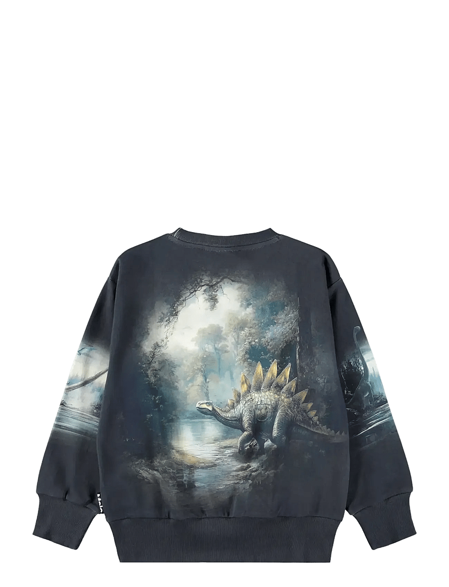 Molo - Mattis - sweatshirts - twilight dinos - 1
