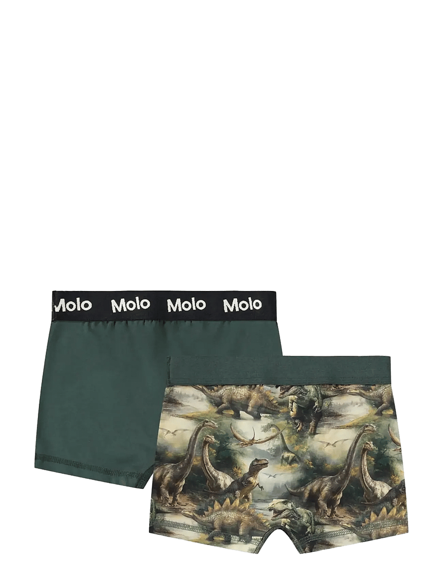 Molo - Justin 2-Pack - unterhosen - dino harmony - 1