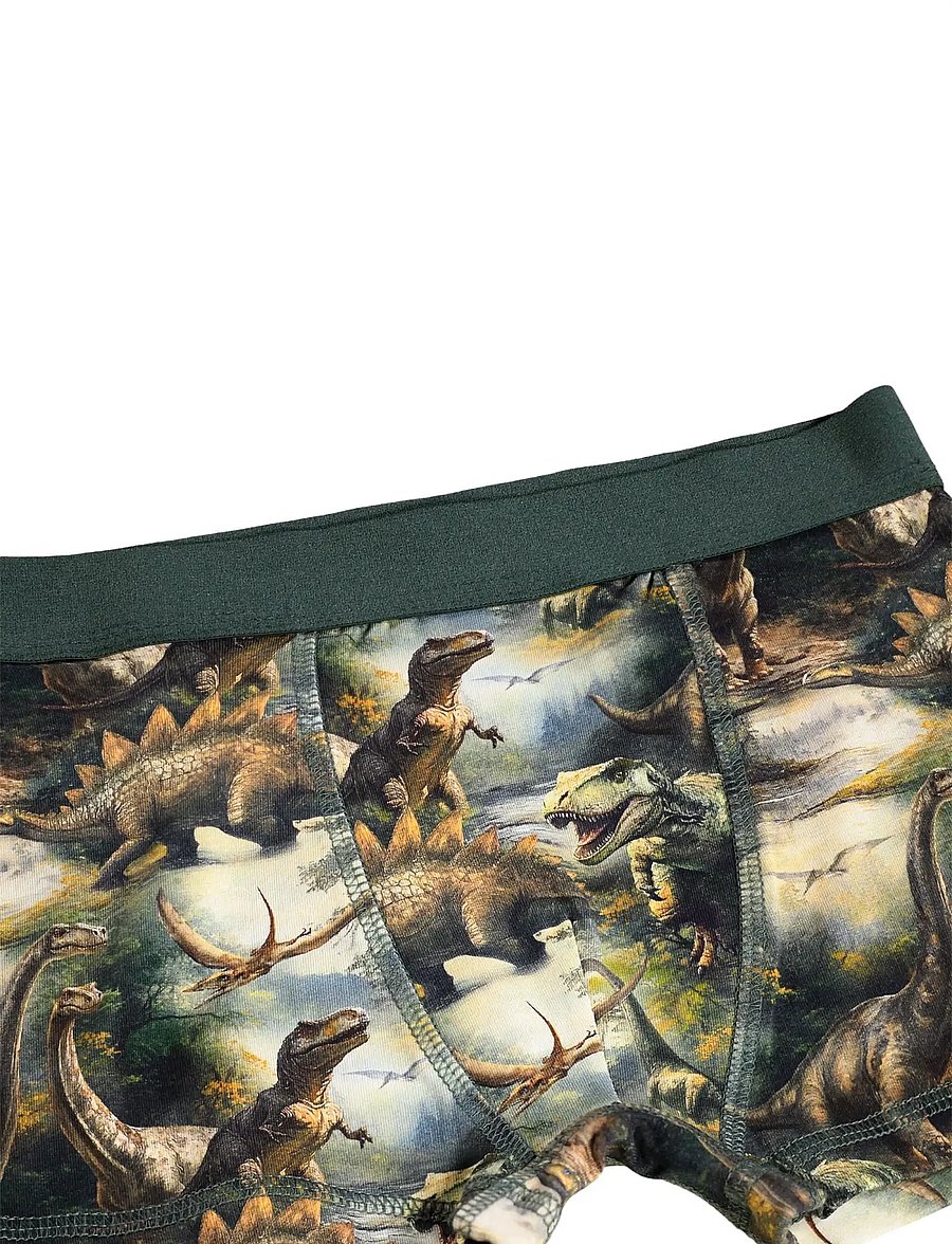 Molo - Justin 2-Pack - unterhosen - dino harmony - 2