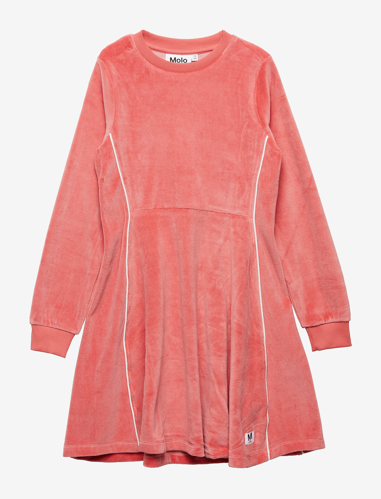 Chalica - RARE ORCHID