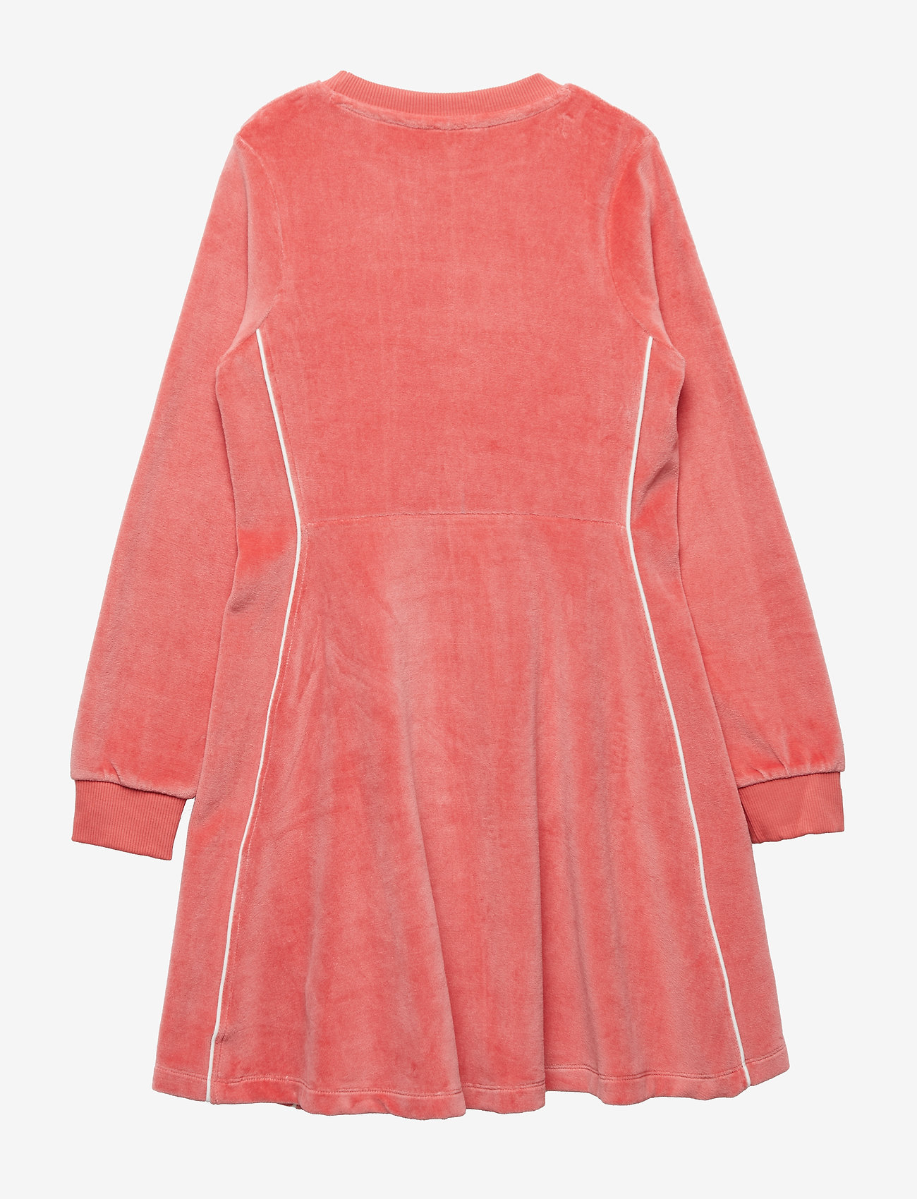 Molo - Chalica - rare orchid - 1