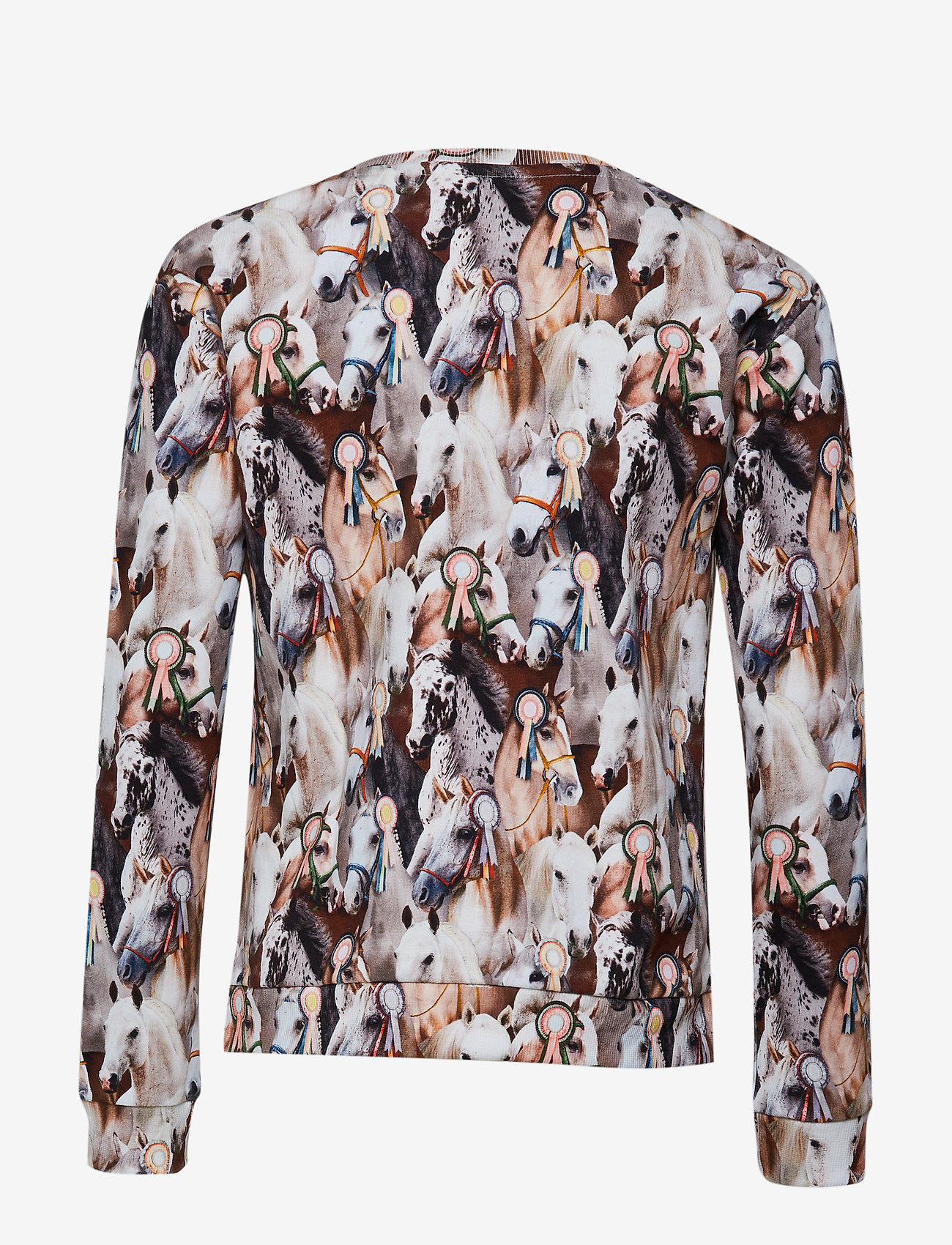 Molo - Malissa - best in show - 1