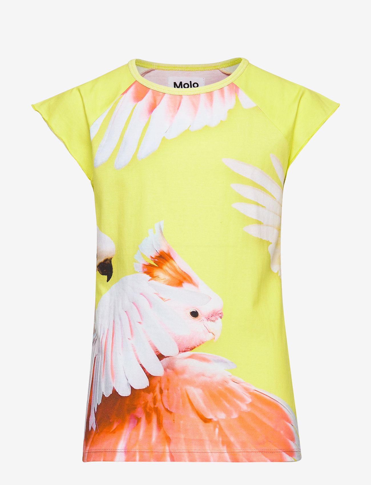 Molo - Rosetta - zoom cockatoos - 0