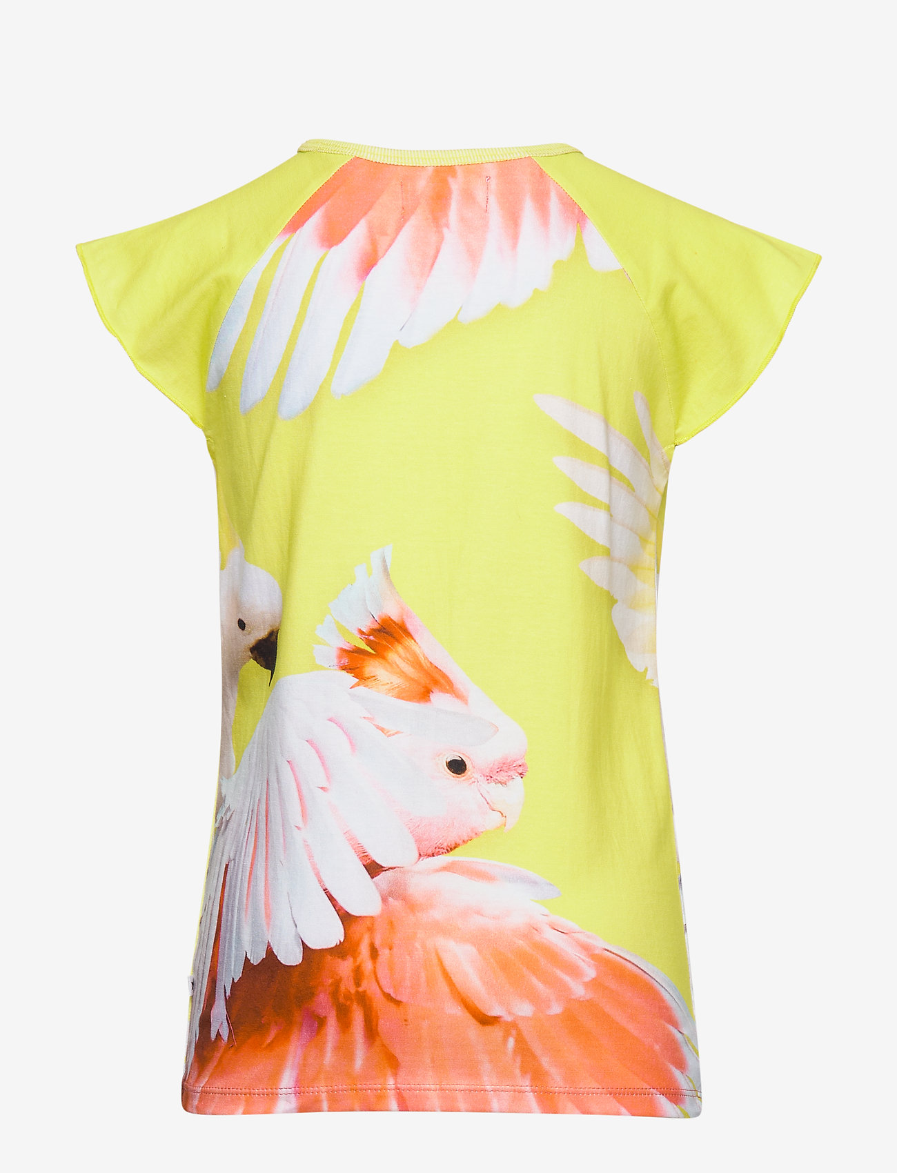 Molo - Rosetta - zoom cockatoos - 1