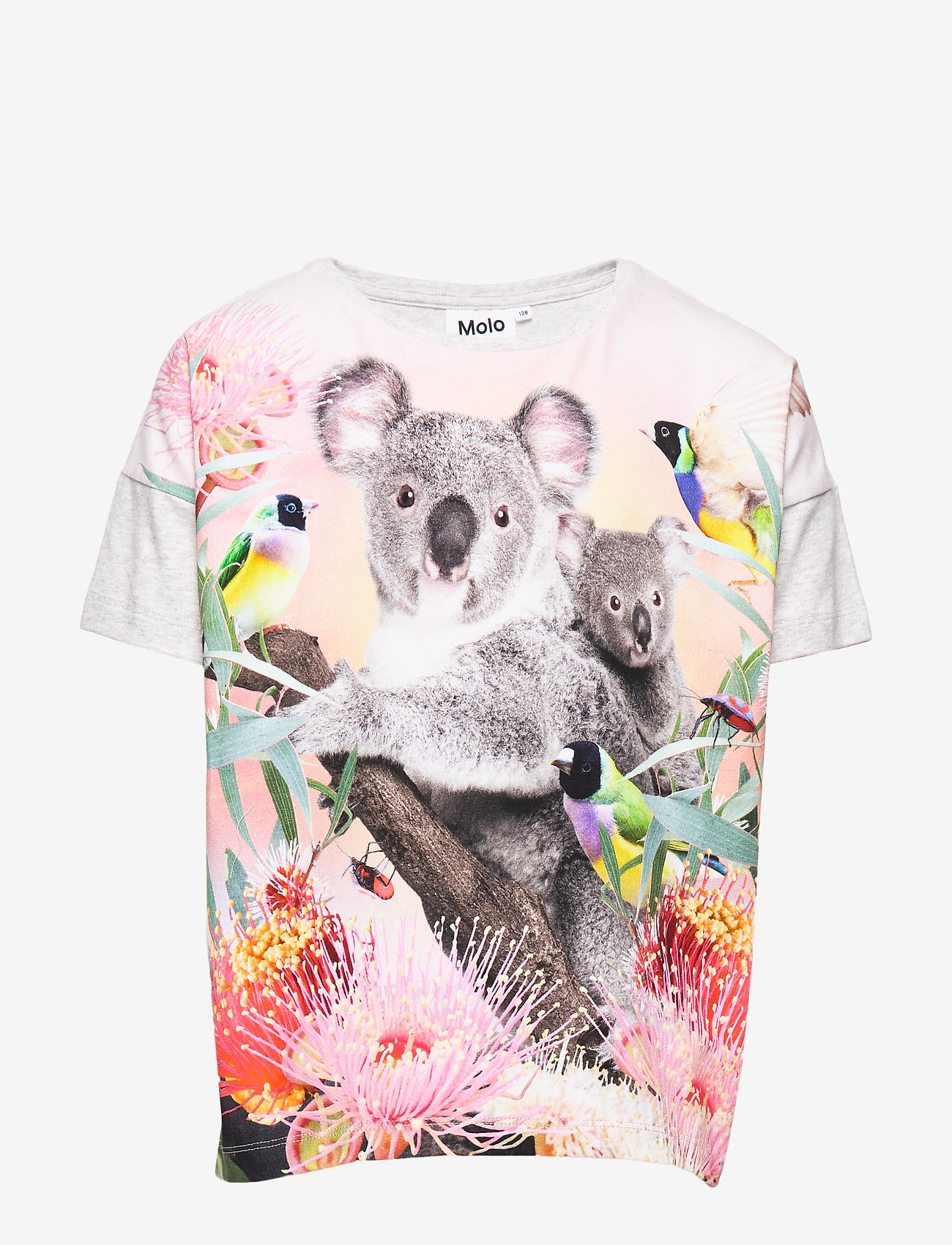 KOALA LOVE
