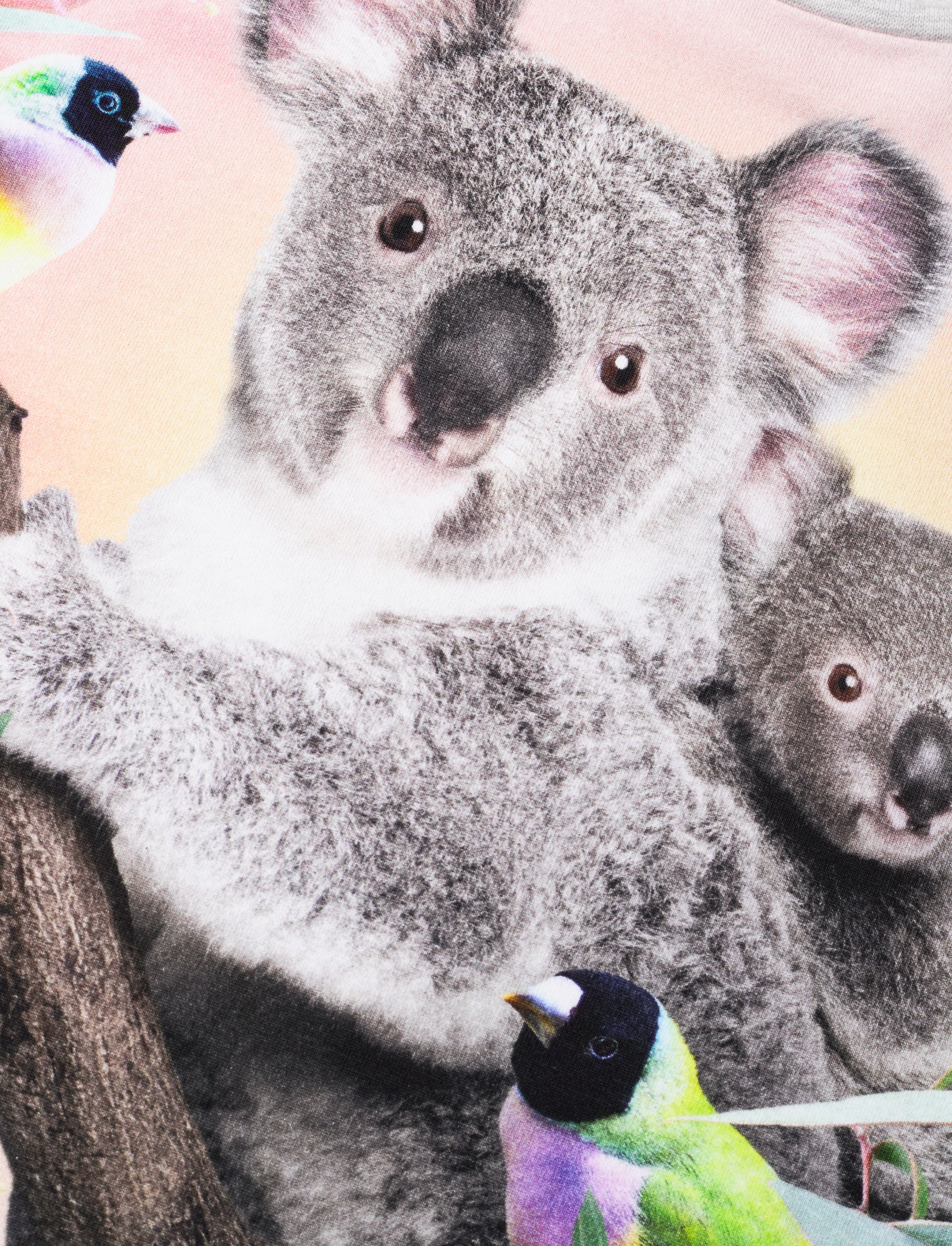 Molo - Raeesa - koala love - 2