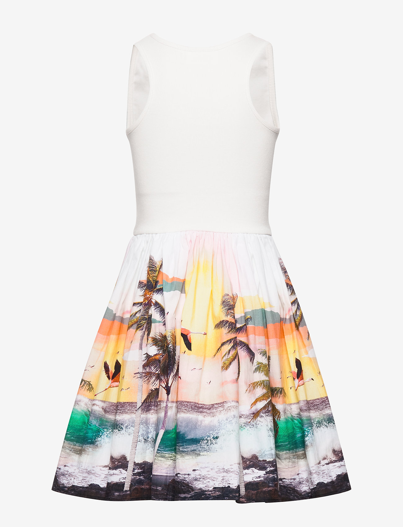 Molo - Cassandra - stormy - 2