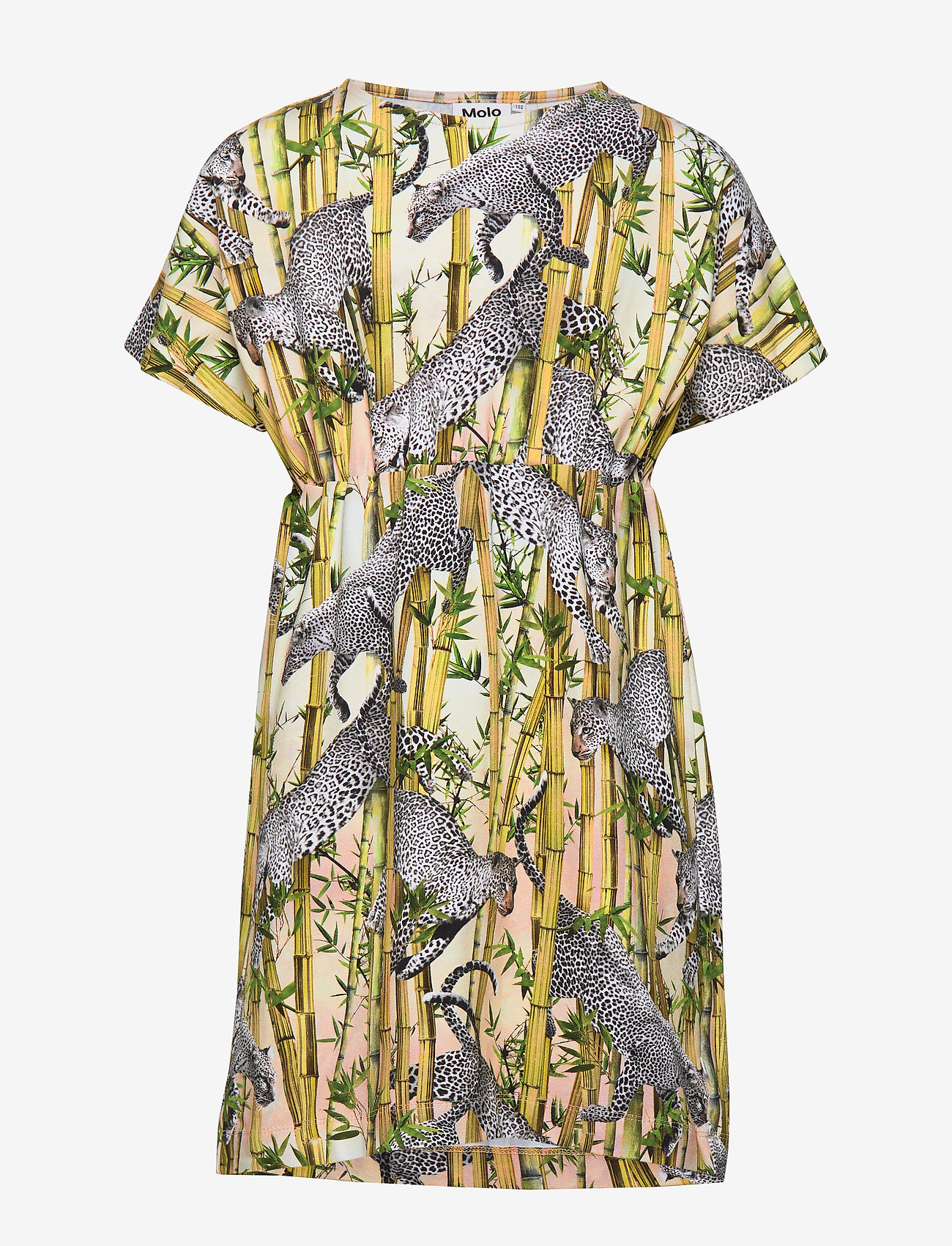 Molo - Christa - flying leopard - 0