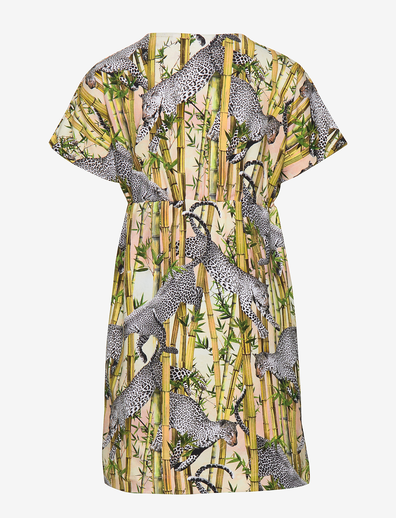 Molo - Christa - flying leopard - 1