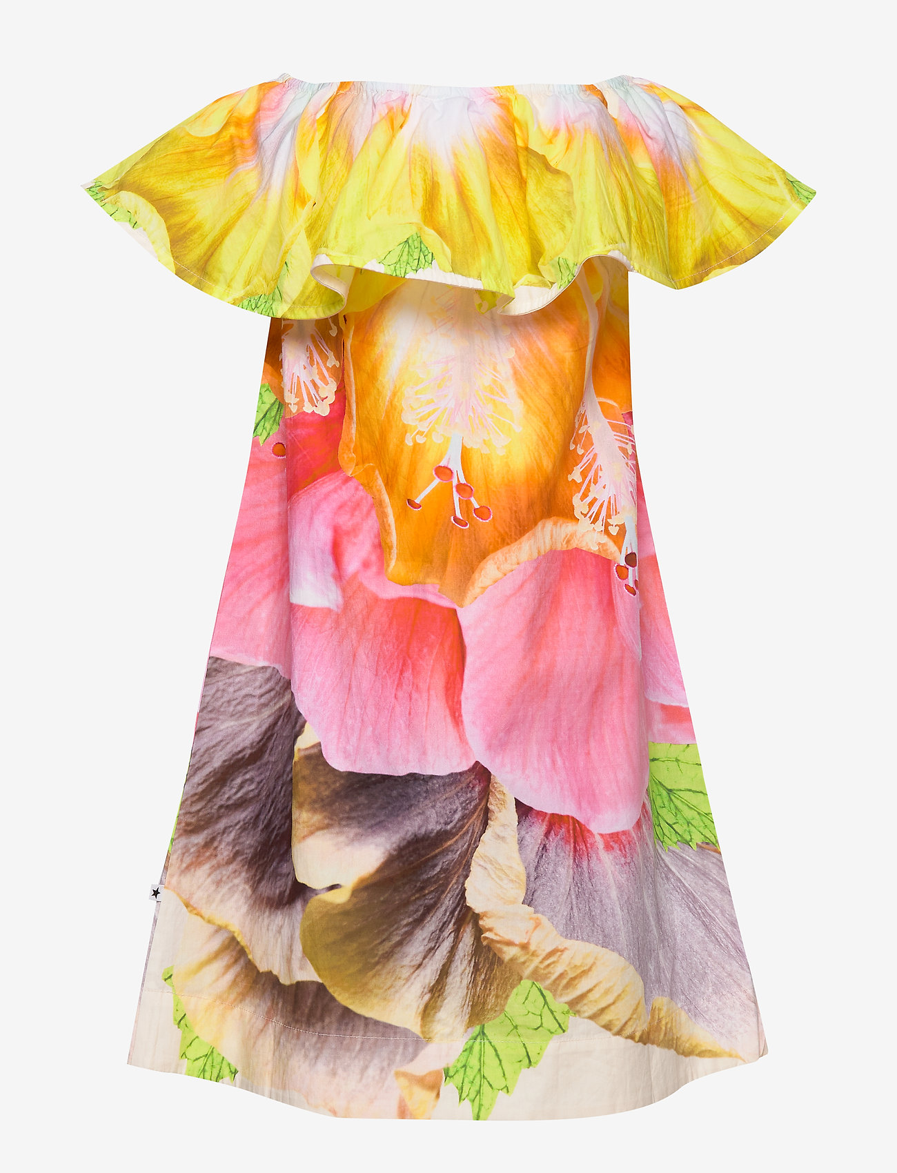 Molo - Cherisa - i am hibiscus - 1