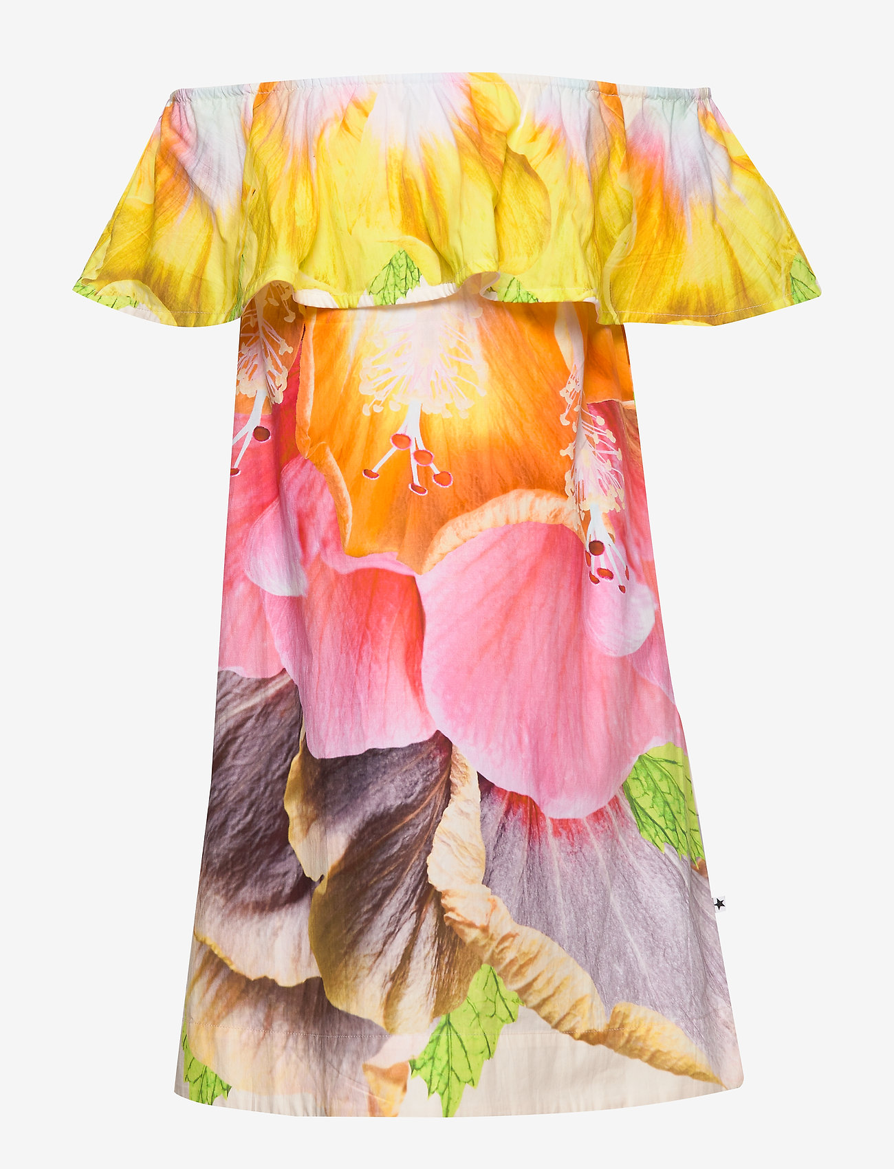 Molo - Cherisa - i am hibiscus - 2