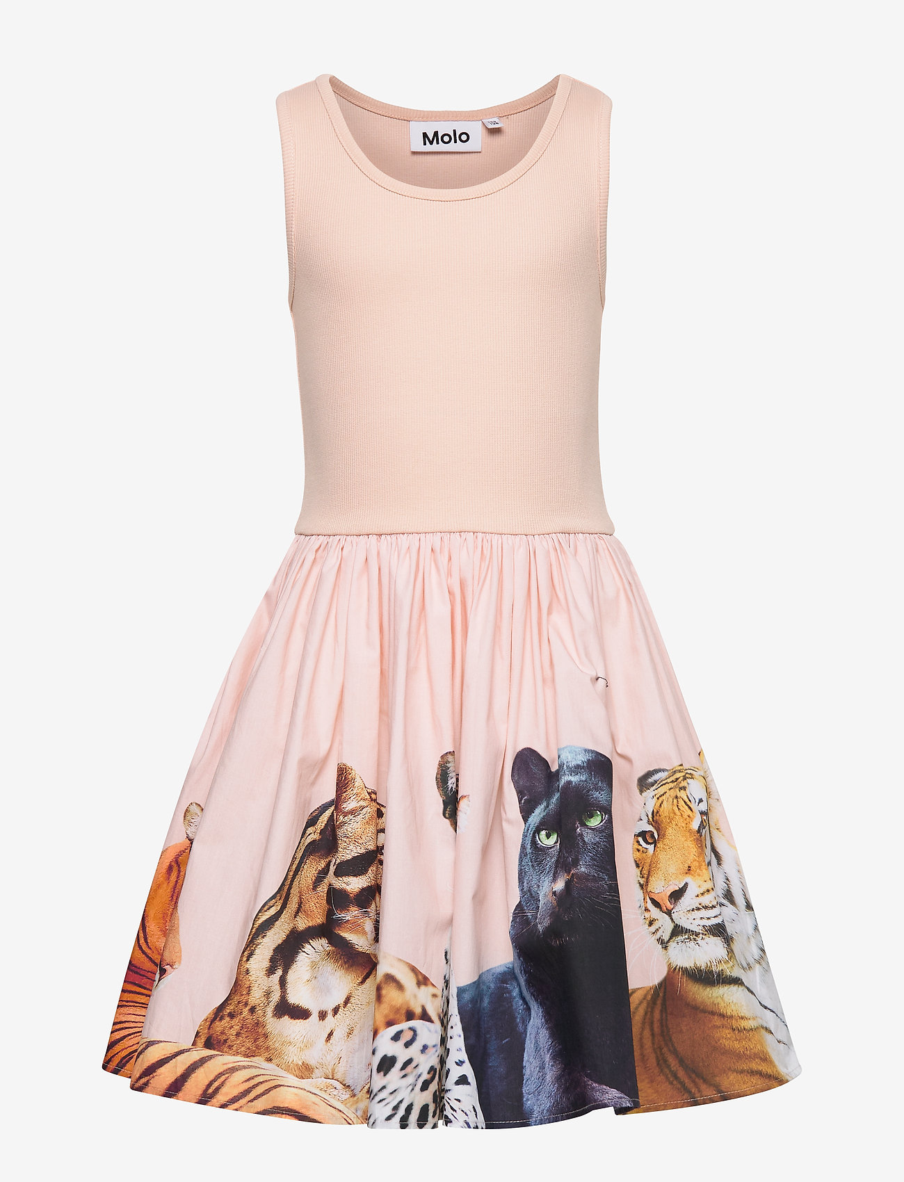 Molo - Cassandra - big cats - 0