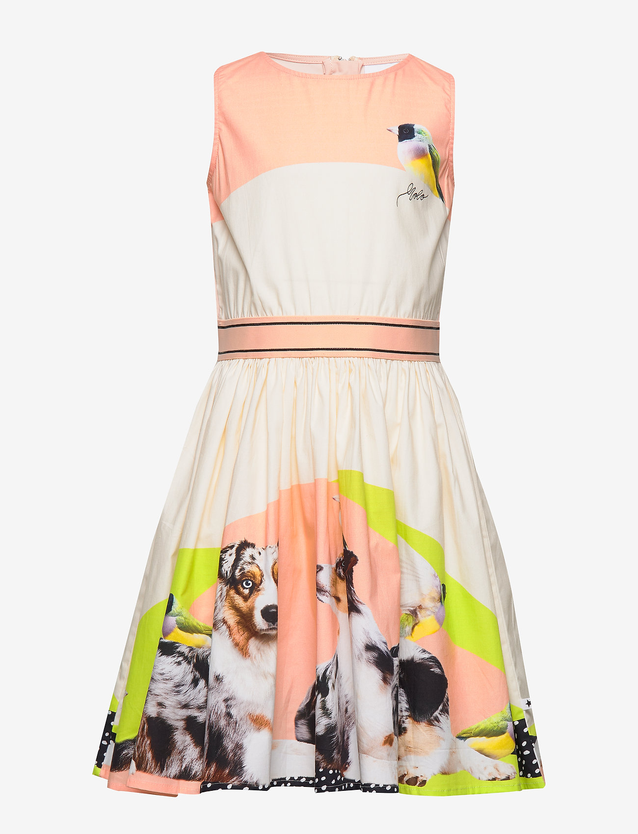 Carli - AUSTRALIA02N SHEPHERD