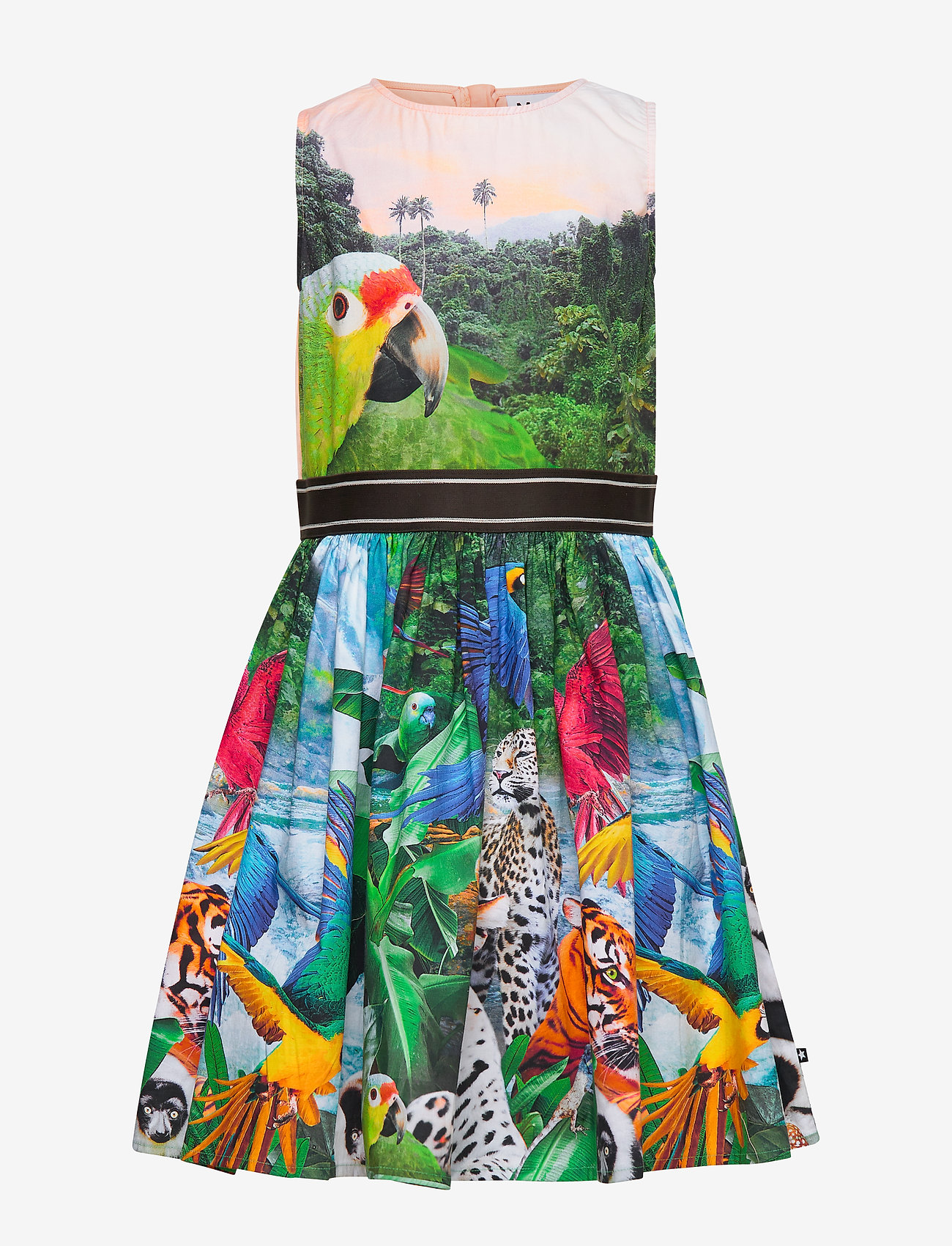 Molo - Carli - jungle dreaming - 0