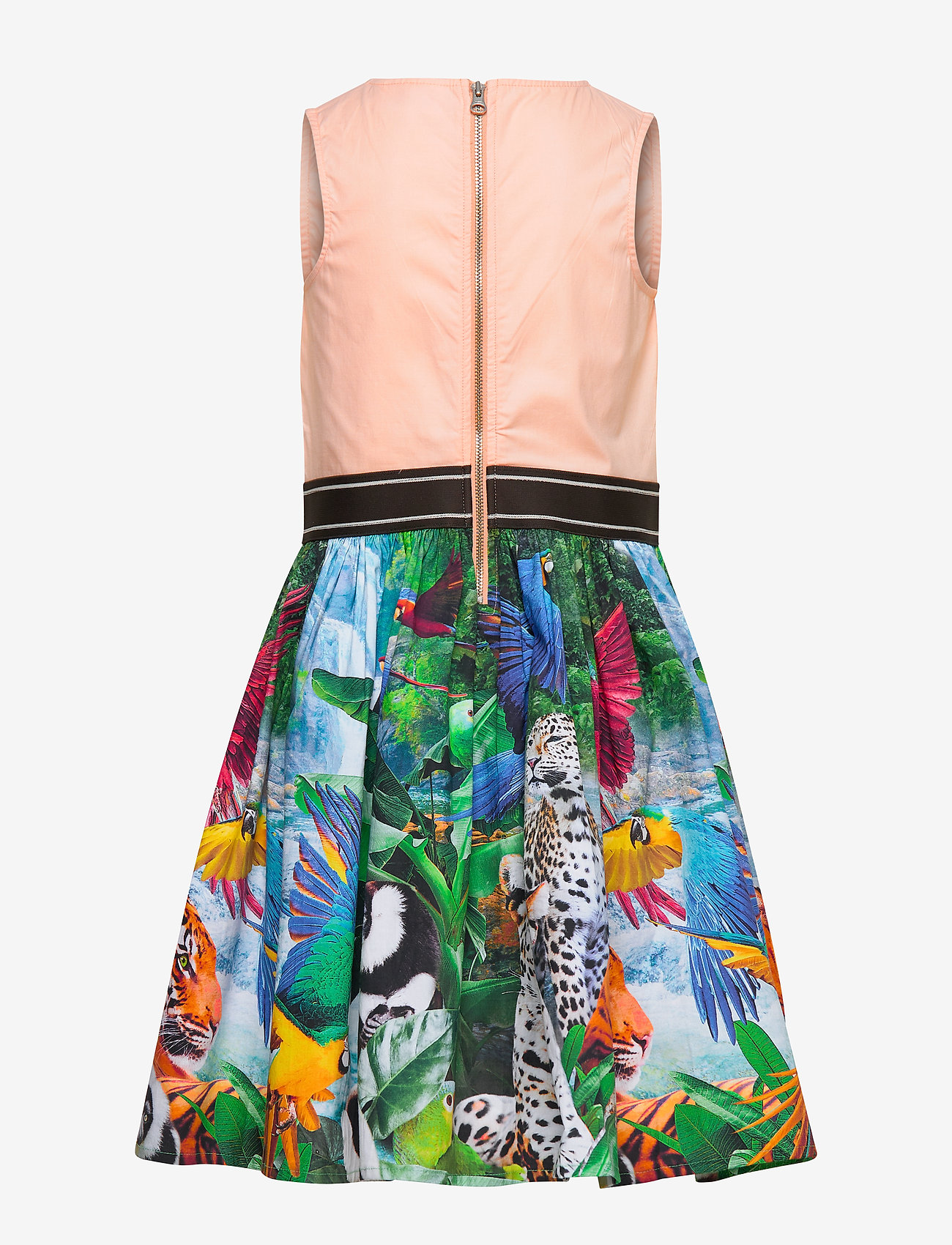 Molo - Carli - jungle dreaming - 1