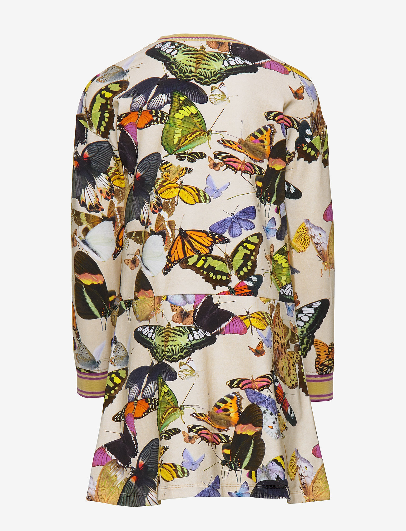 Molo - Conny - papillon - 1