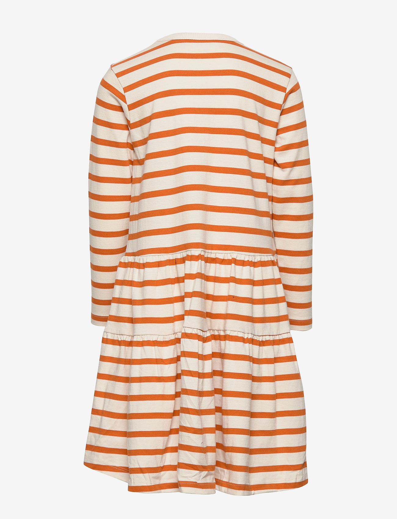 Molo - Chia - pumpkin breton - 1