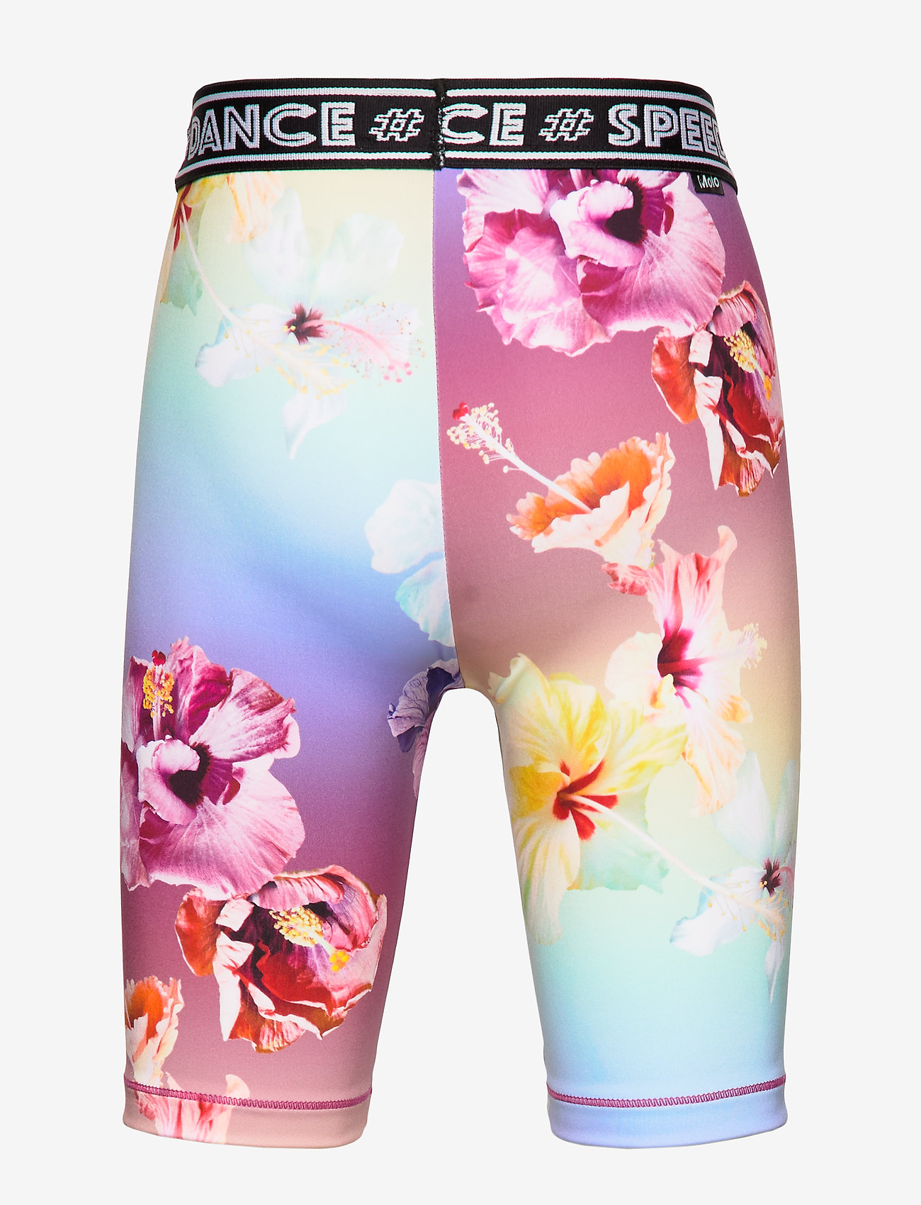 Molo - Obelia - hibiscus rainbow - 1